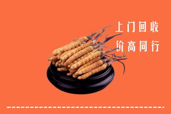 高价求购：十堰市竹山回收散虫草