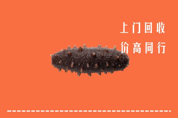 高价求购：十堰市竹山回收海参