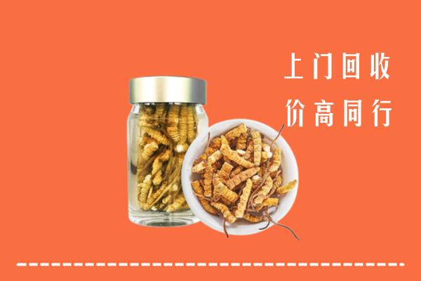 收购行情：十堰市竹山回收冬虫夏草