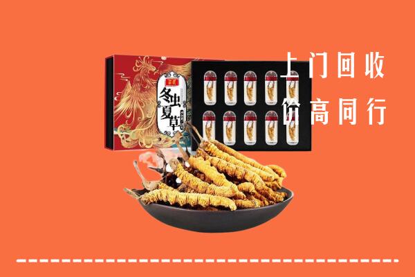收购行情：十堰市竹山回收虫草